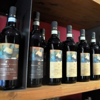 enoteca_marolo_vini_s